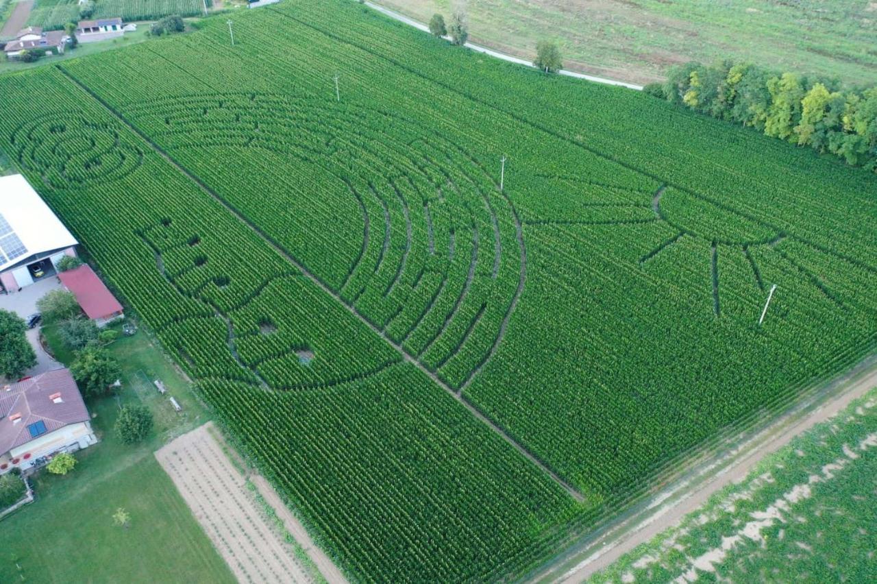 La Selce Farmhouse Bagnario Arsa Esterno foto