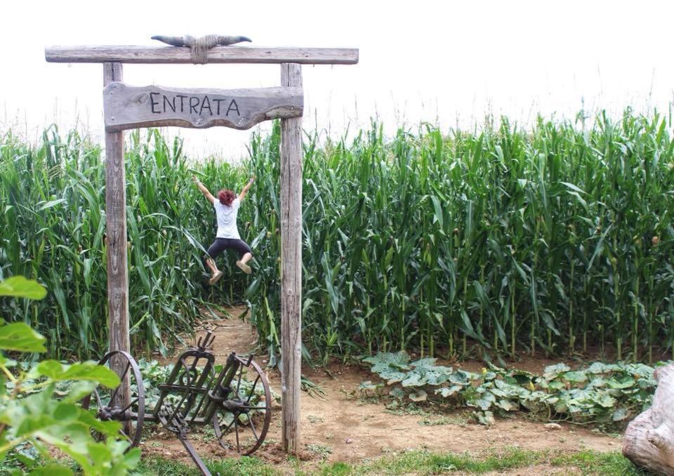 La Selce Farmhouse Bagnario Arsa Esterno foto