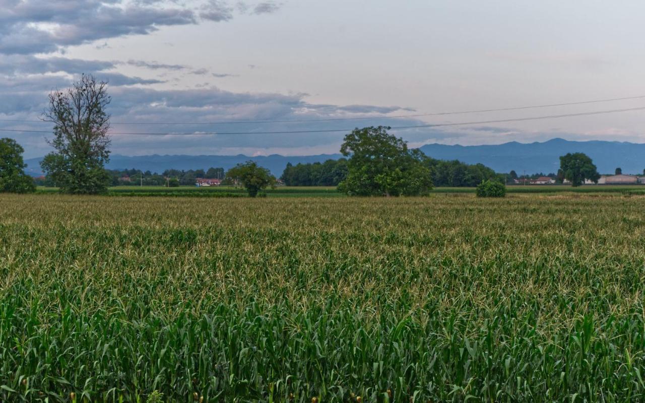 La Selce Farmhouse Bagnario Arsa Esterno foto