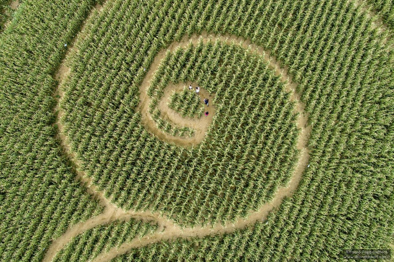 La Selce Farmhouse Bagnario Arsa Esterno foto